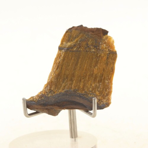 Tiger eye ct northern - eye., 47.0
