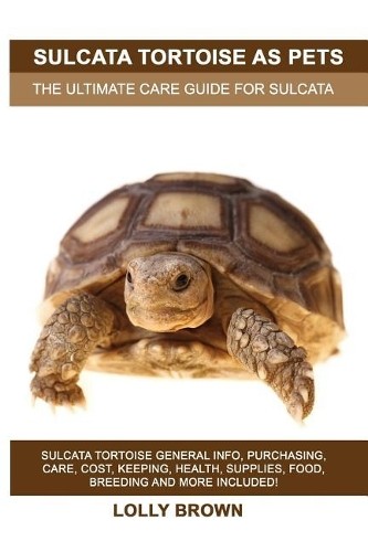 Lolly brown sulcata - brown,