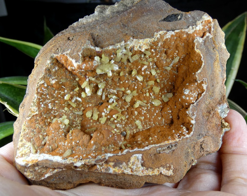 Adamite jaune ojuela - adamite,