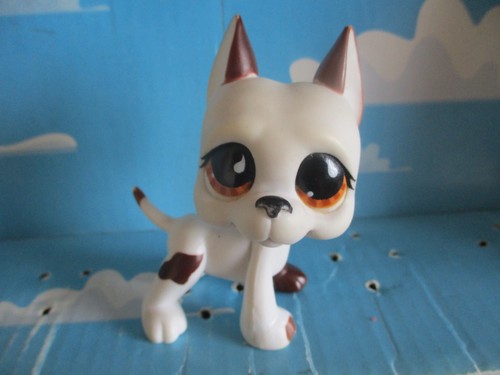 Petshop chien dogue - petshop,