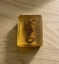 Inclusion Résine Hippocampe