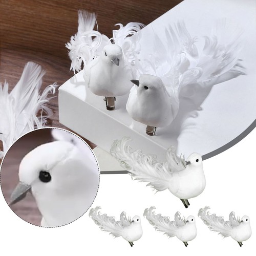Petites plumes coratives - petites,