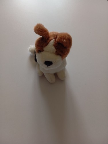 Chien peluche mignon pour - chien,