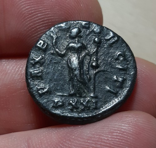 Carus aurelianus - (m#00911),