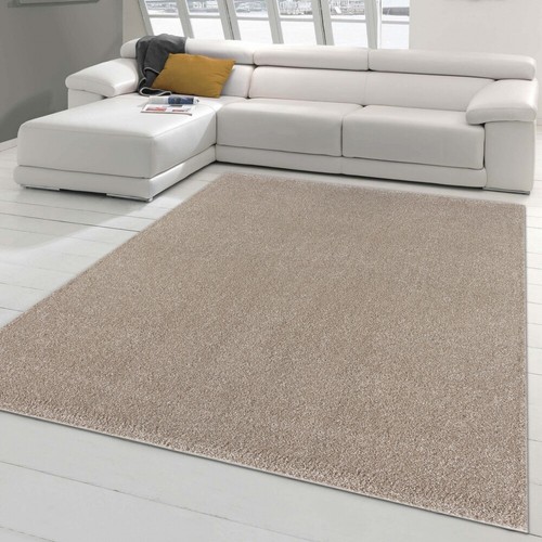 Tapis classique pour - pour, salon