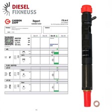 Injecteur de carburant Delphi