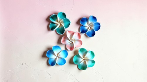 Fleurs pâte fimo magnets - pâte,