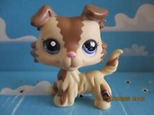 Petshop Dog Colley No.2210