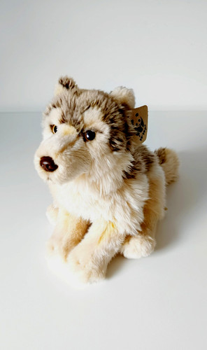 Peluche doudou loup chien - peluche/doudou, loup/chien