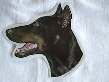 GRAND AUTOCOLLANT  - motif chien  Tête  DOBERMAN N° 2