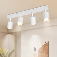 Rampe et Rails de Spot Double