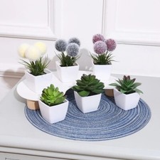 Lot de 6 Mini Plantes Bonsaïs Artificielles – Déco Maison, Bureau, Étagère, Bure