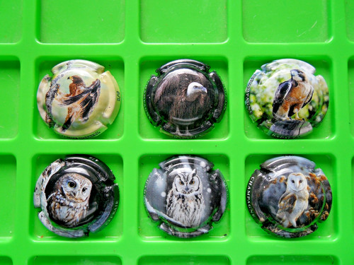 Nouvelle série 6capsules - nouvelle, de