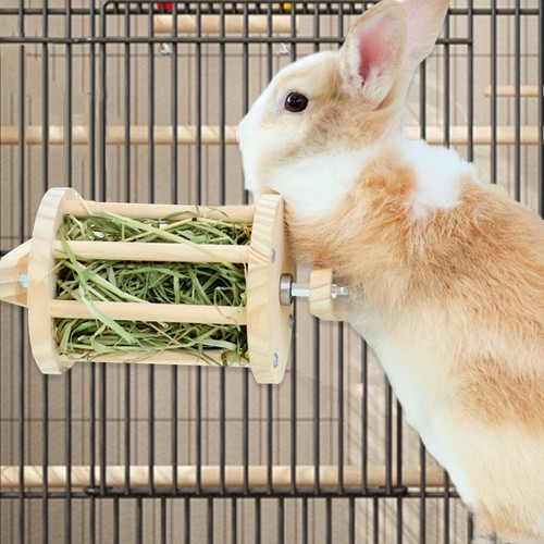 Cage foin suspendue pour - à,
