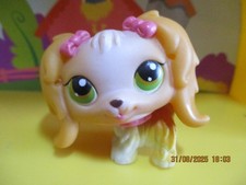 Petshop Maltese Bichon Dog #79 / With Pink Magnet