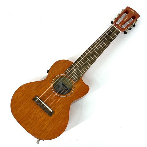 Guitare acoustique électrique
