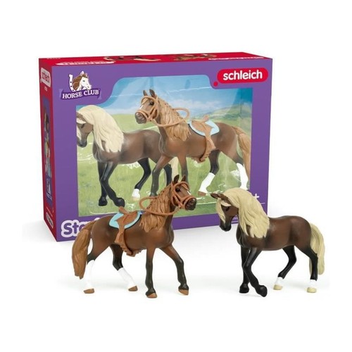 Mes premiers chevaux - mes, paso