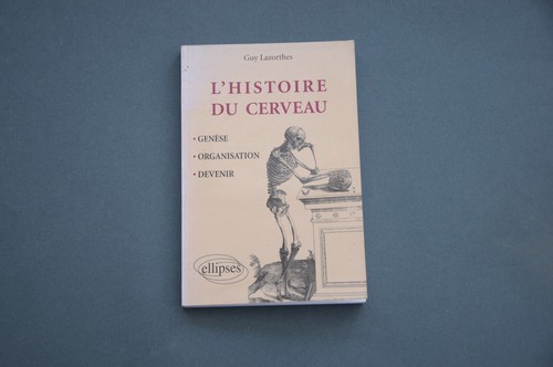 Medecine cerveau lazorthes - medecine,