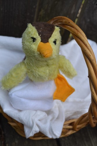 Realistic mallard duckling - realistic,
