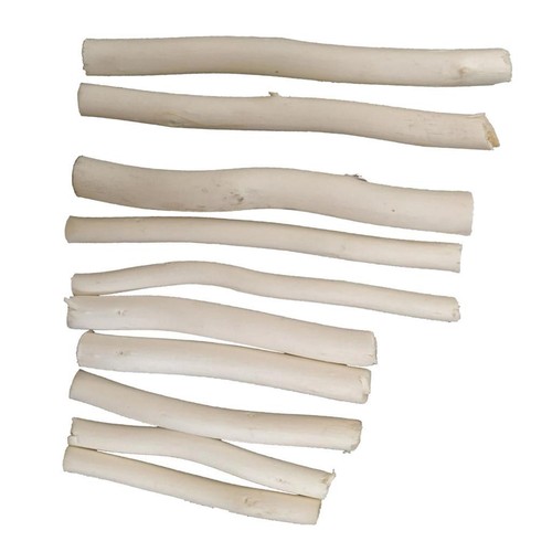 Bois pièces branche - bois,, 20