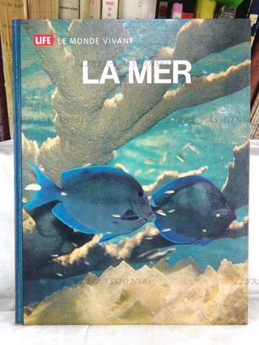 Life monde vivant la mer - vivant,,