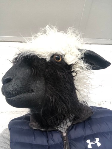 Laine mouton tête masque - laine,
