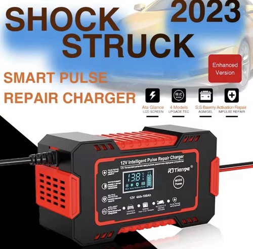 4ah 100ah chargeur - 100ah,
