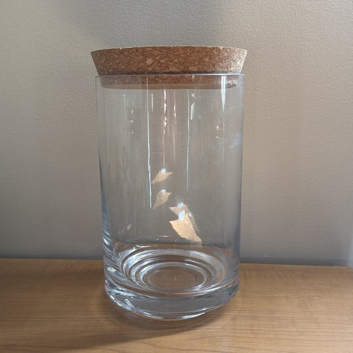 Glass terrarium with - glass,