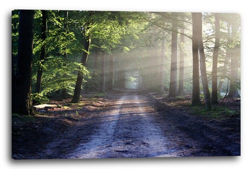Toile cadres route - toile/cadres, la