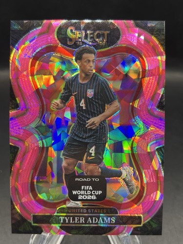 2026 panini select fifa world - panini,
