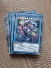 Lot Base de Deck Core