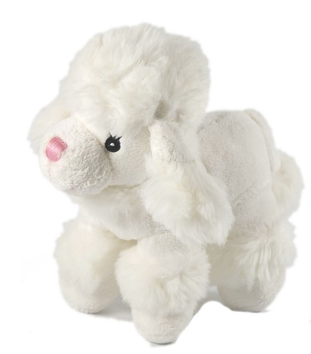 Doudou peluche chien - doudou, caniche