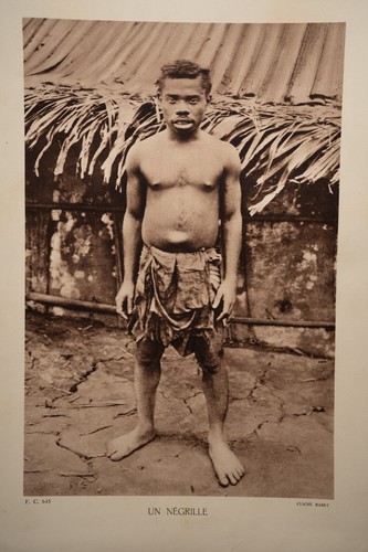 Photo heliogravure 1930 - photo,