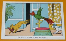 CHROMO 1922-1938 CHICOREE