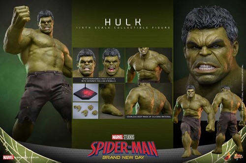 Hot toys hulk brand - :,