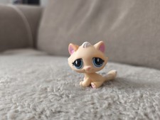 Authentic PETSHOP CHAT DE GOUTTIERE N°740