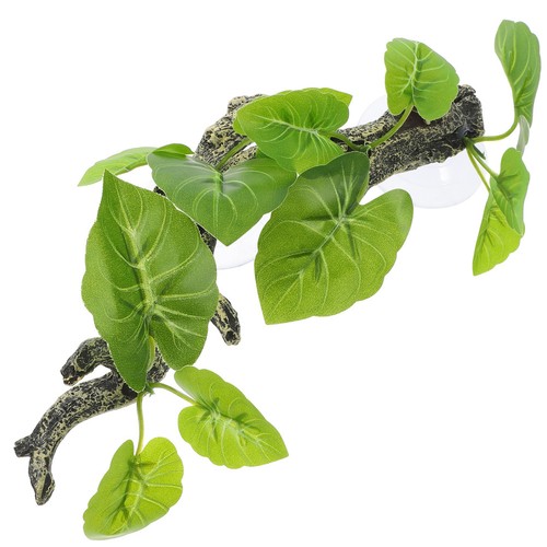 Accessoire terrarium modèle - accessoire,
