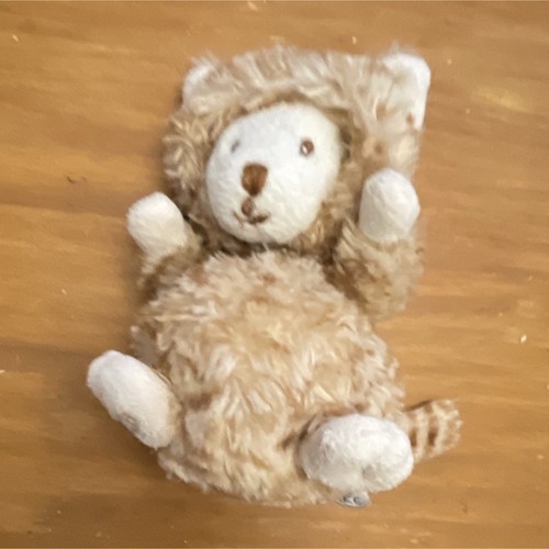 Doudou peluche ours déguisé - doudou,