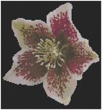 Modèle De Broderie