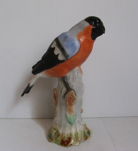 3496 dresden germany bird - dresden,