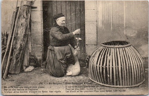 Perigord une gaveuse - en,