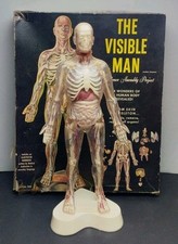 The Visible Man Renwal  1959 L