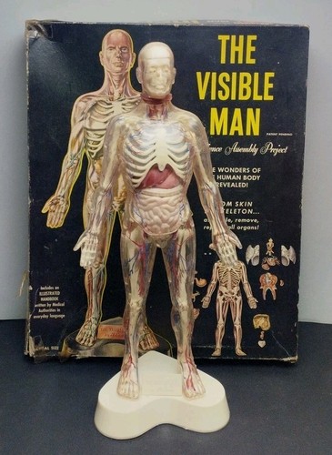 The visible man renwal - the, 1959