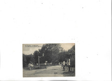 FOURAS BOIS VERT BARRIERE