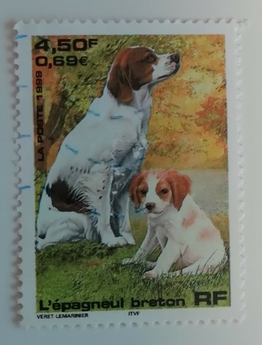 Timbre france epagneul - france, l´epagneul