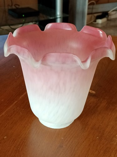 Globe lampe tulipe verre h - verre,