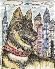 Dessin Chien Berger Allemand
