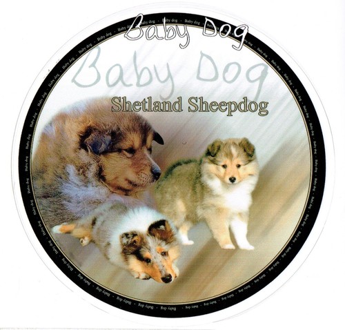 Autocollants design shetland - autocollants,