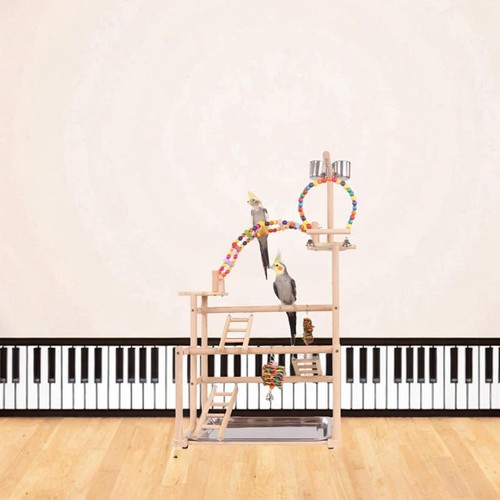 Aire jeux pour perroquets - aire,