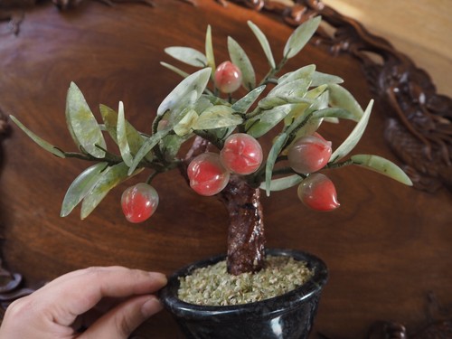 Arbre bonsaï décoratif - arbre,